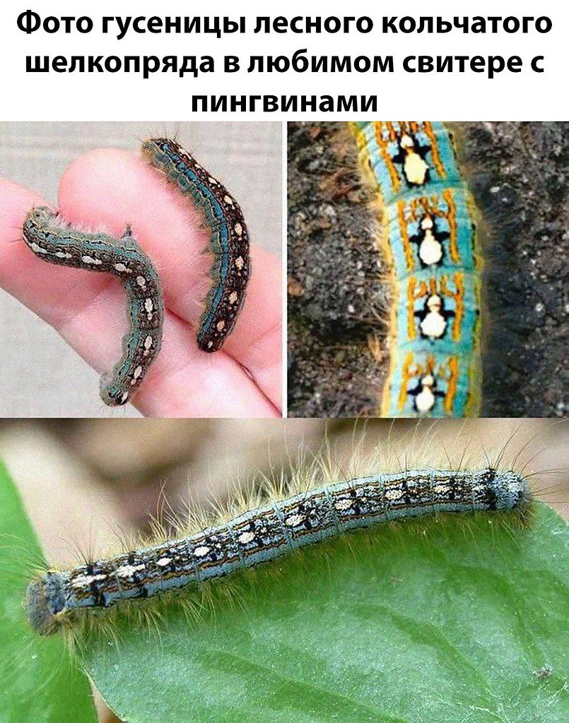 ����� � ���� �������� ������!