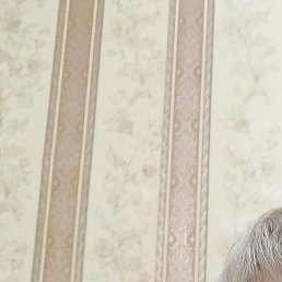 �����, ������, 65 ���