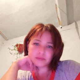 ���� ����, �����-�������, 34 ���� - ��������� 15 ������ 2026