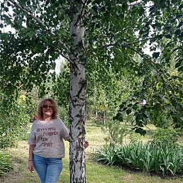 ���� �����, ���������, 58 ��� - ��������� 8 ���� 2025