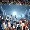 ���� �����, ������ - ��������� 31 ������� 2024 � ������ ������ ��������