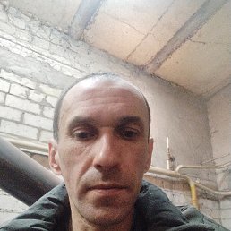 �����, 41 ���, �������