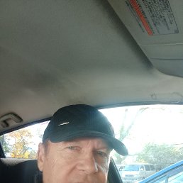 , 65, 