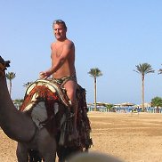 , 50 , 