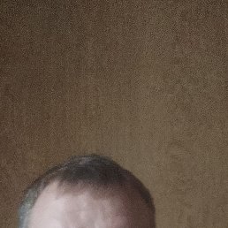, 43, 