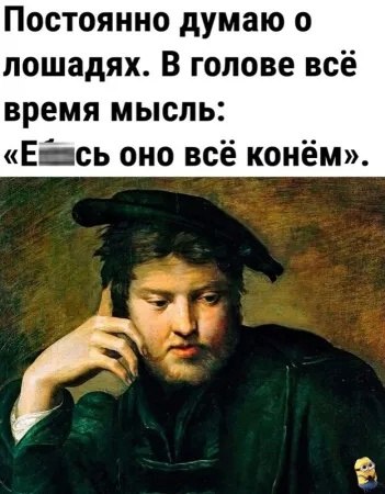  - 11  2024  15:21