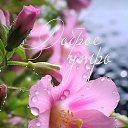 ���� �������, ������, 61 ��� - ��������� 8 ������ 2026 � ������ ���� ����������