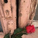 ���� ����, ������, 41 ��� - ��������� 24 ��� 2026 � ������ ���� ����������