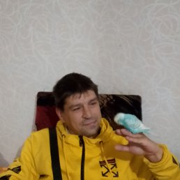 ����� �������, 42 ����, ������������