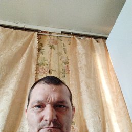 ����, 40 ���, ����