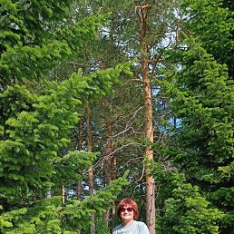 ���� �������, �����������, 57 ��� - ��������� 19 ������ 2026