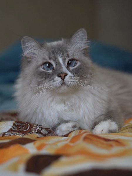 �������� - 5 ������� 2025 � 03:02