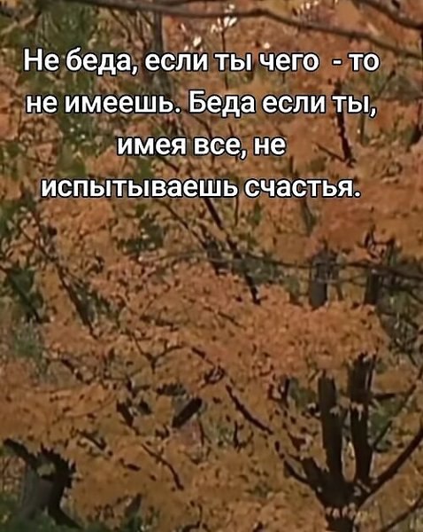 ������������ �� �������... - 9 ������ 2026 � 15:04