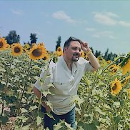 ��������, 34 ����, ������