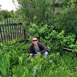 ������ ������, ������, 33 ����