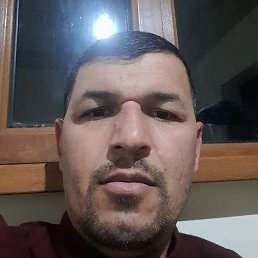 ��������, �������, 43 ����