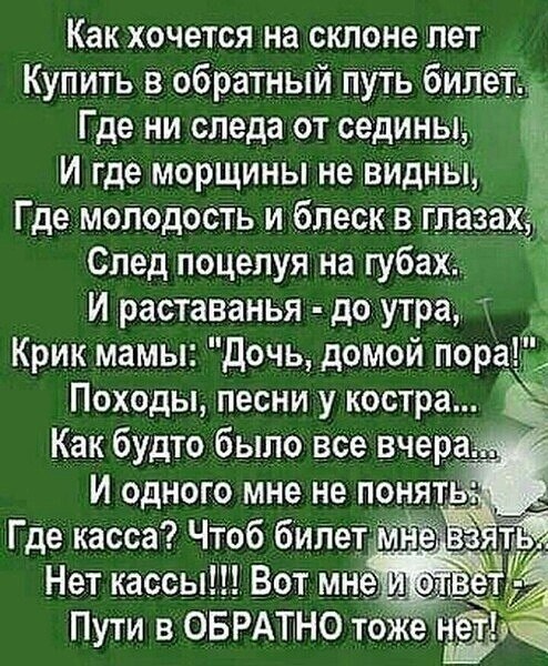 �������� �������� - 20 ������� 2025 � 12:28