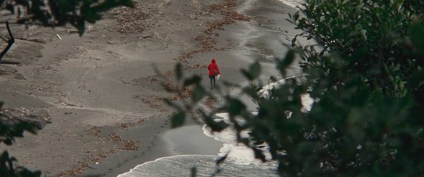������ � �������� �� ����������� / Kumiko, the Treasure Hunter, 2014.���. David Zellner - 3