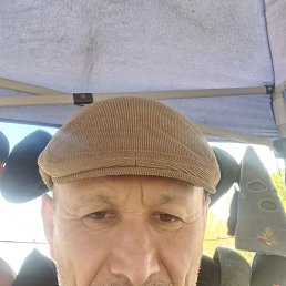 , 55, 