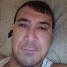 �����, �����-���������, 47 ���