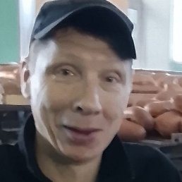 ����, ������, 50 ���