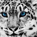 ���� �����, ���������, 56 ��� - ��������� 27 ������ 2025 � ������ ���� ����������