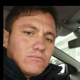 ��������, �����, 40 ���