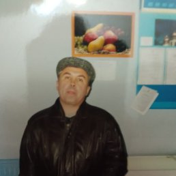 , 61, 
