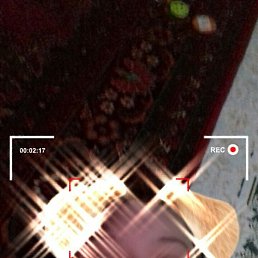 ���, ������ ��������, 40 ���