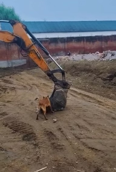 ������ ����. ������ ����� �� ������ ���� ������� �������� - 2