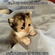 ����, 31 ���, ������������