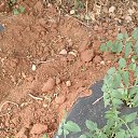 ���� Nahi, ����, 30 ��� - ��������� 20 ��� 2026 � ������ ���� ����������