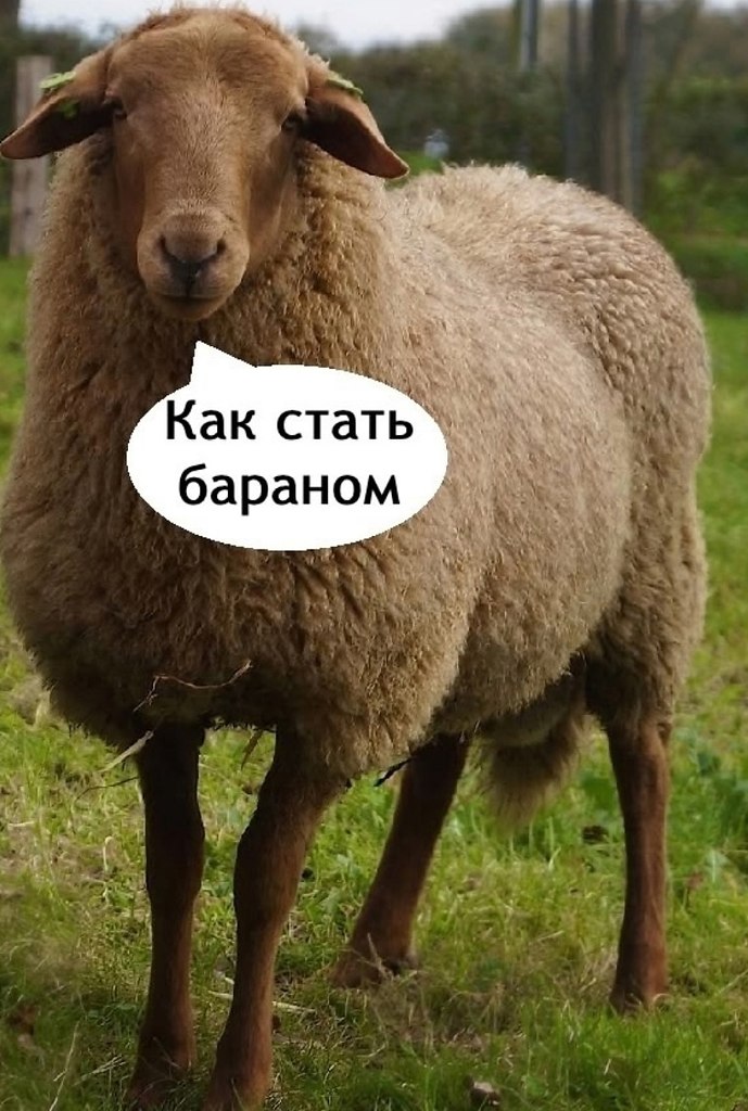   - 2