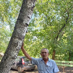 , 65 , 
