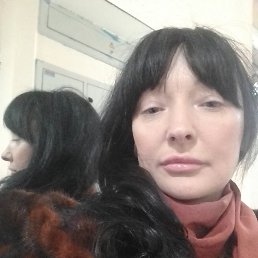 , 41, 