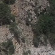 ����, 45 ���, �����������