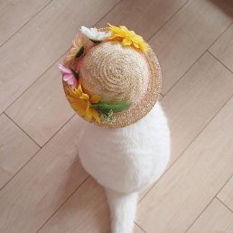 ���� �������, �������� - ��������� 22 ������ 2023