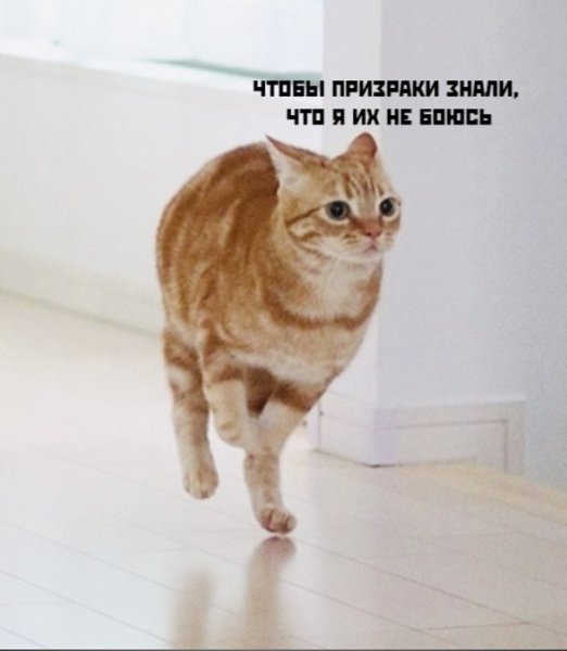 ��� ���� � ����� �� �� - 3 ������ 2026 � 17:03 - 3