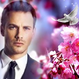 �������, ������, 43 ����