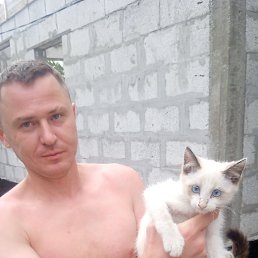 , 37, 