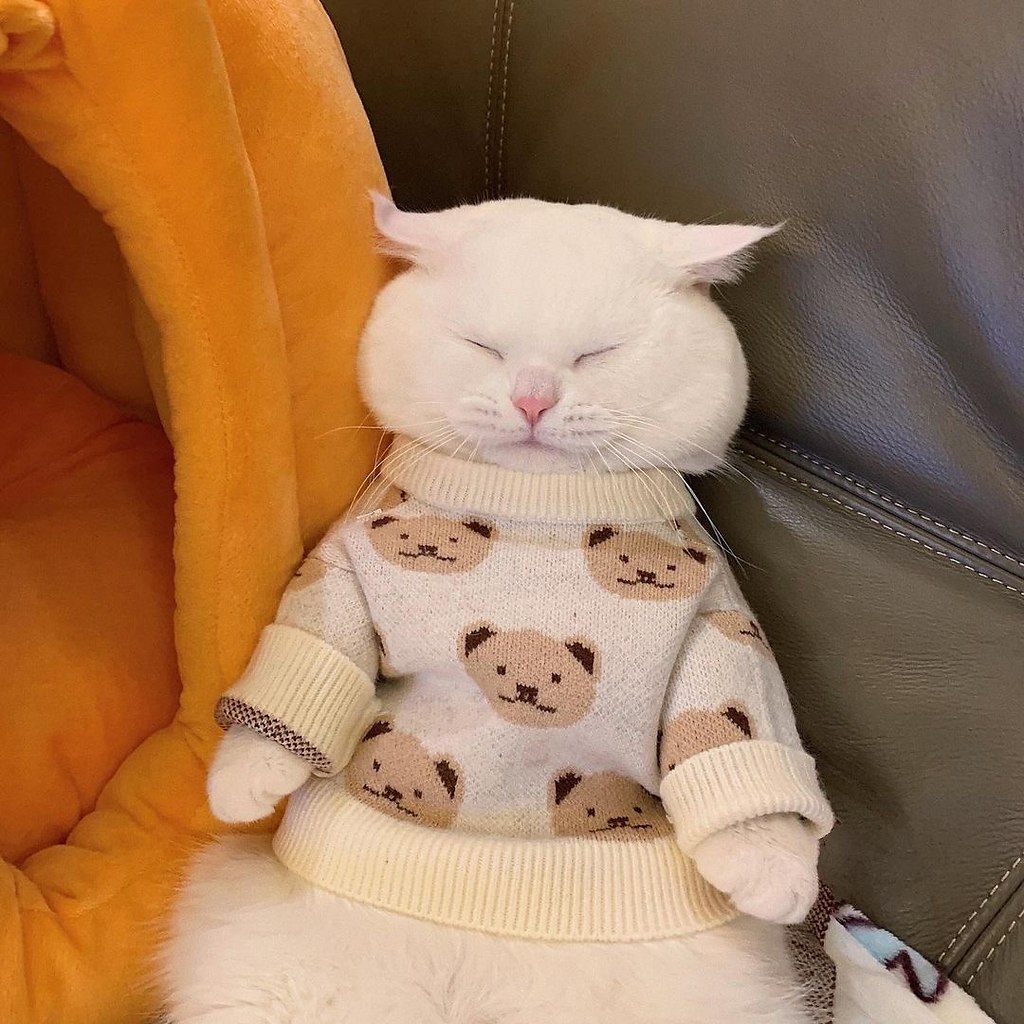 ��� ��� �������� :3 - 2