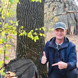 ���� �����, ���������, 55 ��� - ��������� 2 ������ 2026