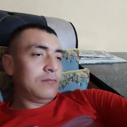 , 34, 