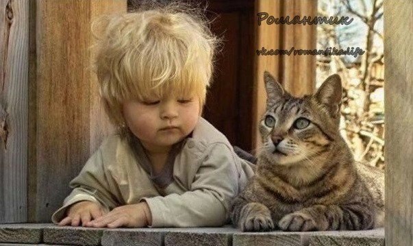 Если хочешь понять человека, То не слушай, что он говорит... Притворись дождем или снегом И ...