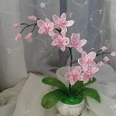 ���� Alena, �������, 56 ��� - ��������� 3 ����� 2025 � ������ ���� ��������� ����
