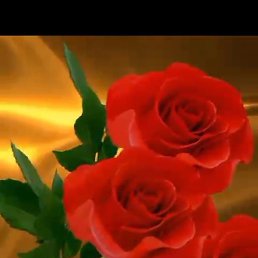 ������, ������, 47 ���