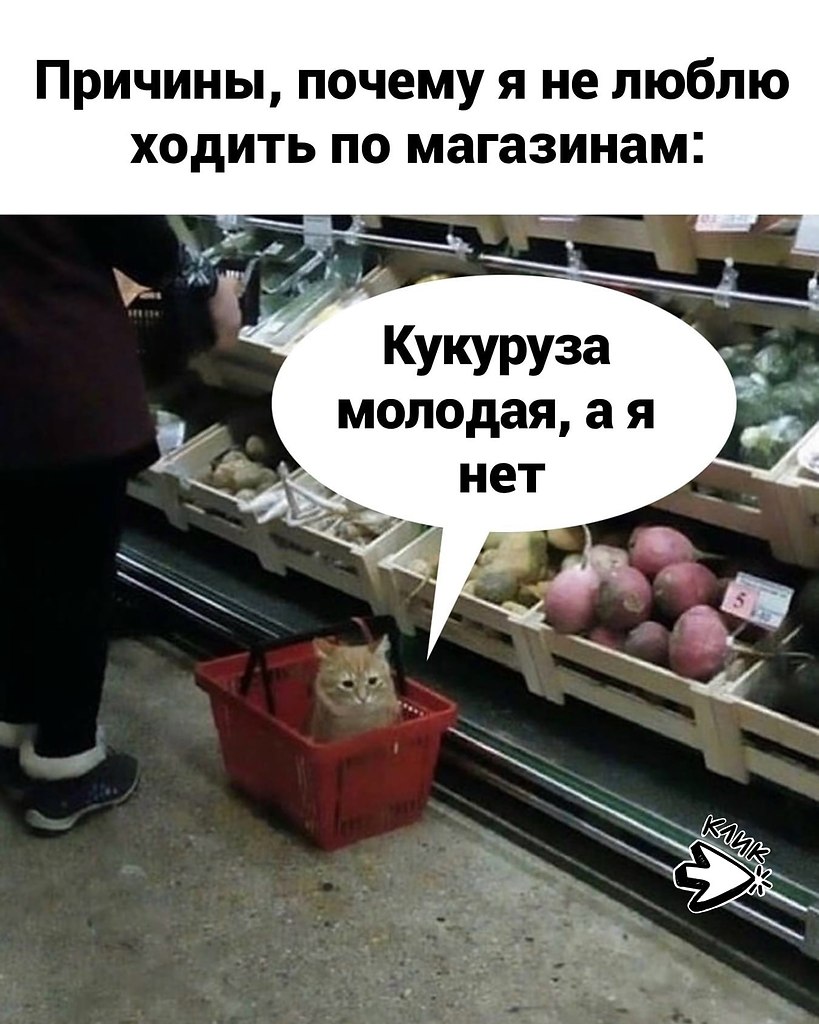 ��� ���� � ����� �� �� - 27 ��� 2026 � 15:55