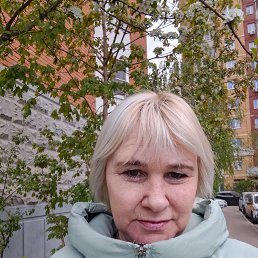 , 53, 