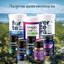 ���� ����, ������, 48 ��� - ��������� 14 ������ 2026 � ������ ���� ����������