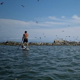 ��������, �������, 43 ����